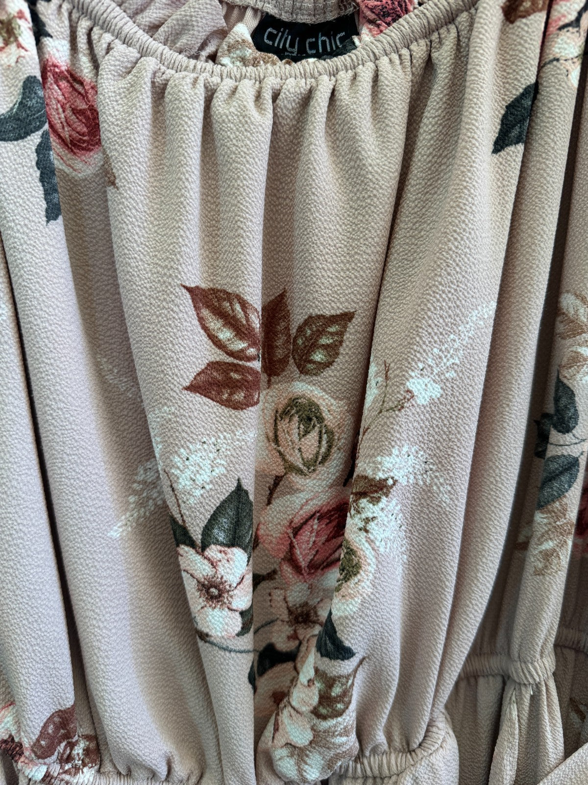 City Chic Rose Play Maxi Dress Plus Size Large/20 As New, worn once RRP $150